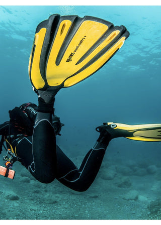 Aletas Avanti Quattro + Mares